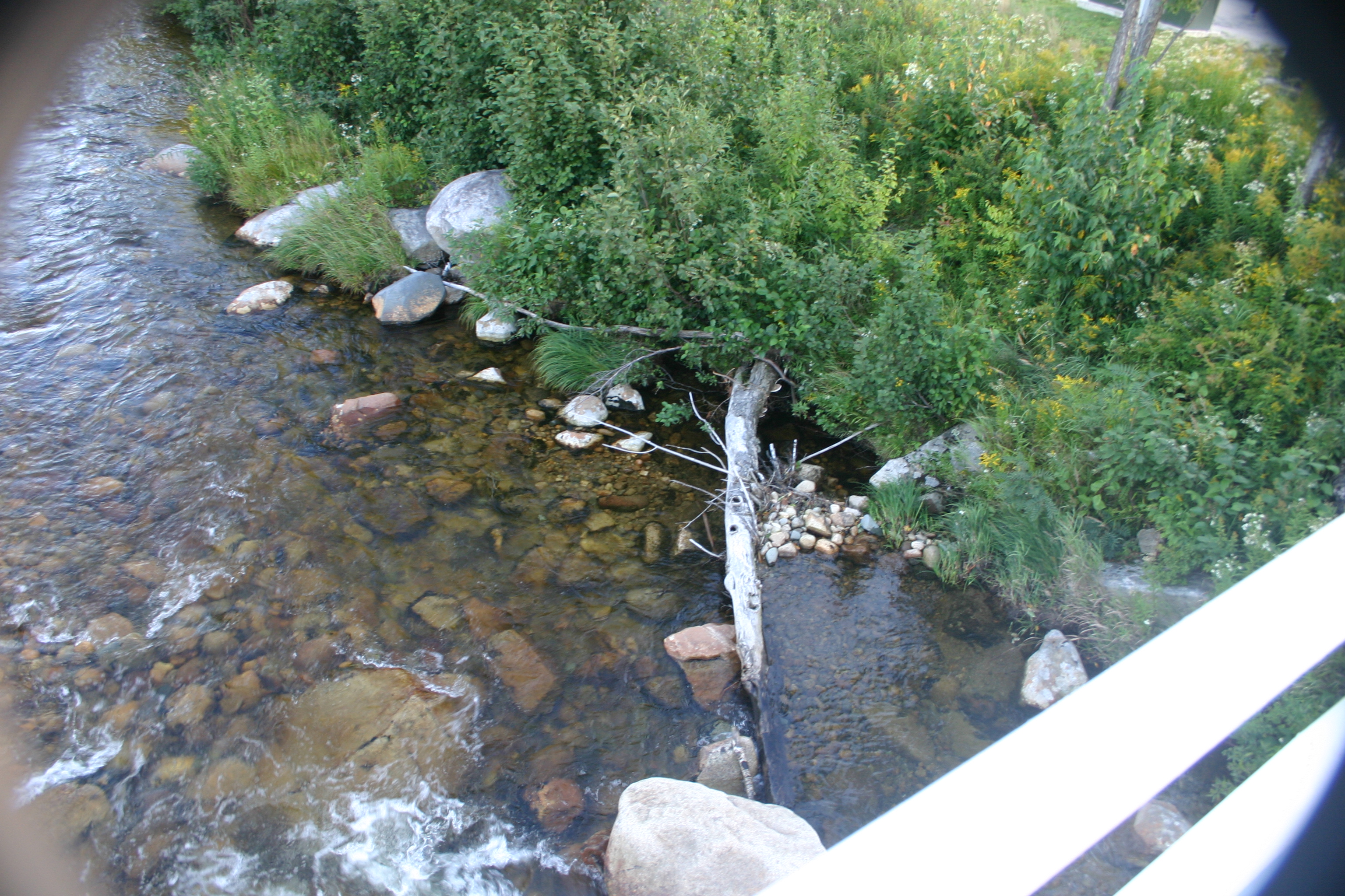picture 60.